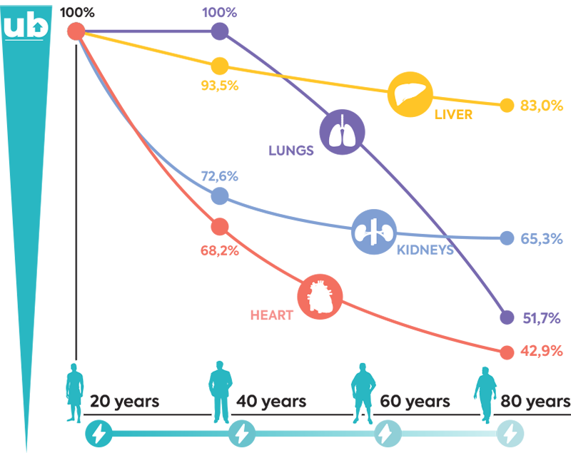 Ub-Longevity - 1 04_2025 Ub-Longevity - 1 04_2025