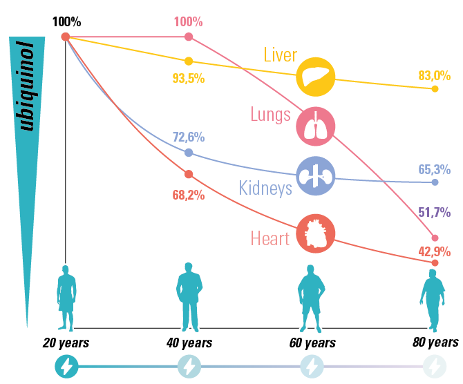 Senior_Graph_Longevity_1-2026