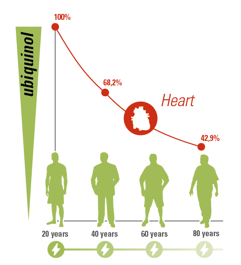 heart-infographic1-2026